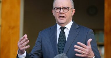 Prime Minister Anthony Albanese during a press conference at Parliament House in Canberra.