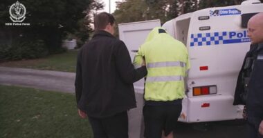 Detectives revealed the investigation began after police uncovered an Australian network of more than 700 alleged offenders sharing child abuse material.