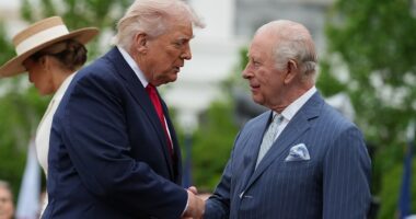 Leaked audio shocker: UK envoy says US ‘special relationship’ not with Britain, but another ally