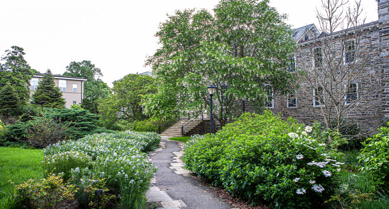 Liberal arts college drops prof’s name from campus hall after grave dig controversy