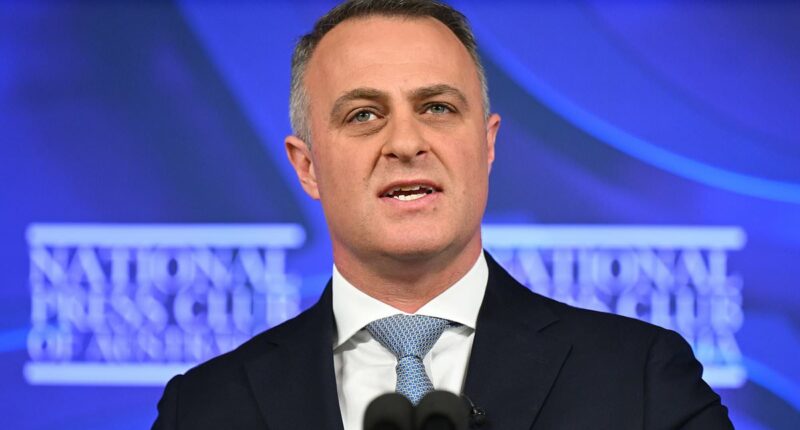 Liberals unleash brutal attack on Anthony Albanese