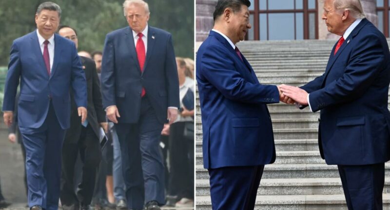 'Lion'-like Trump deploys 'power move' as he, Xi show 'genuine affection' during historic China summit: body language expert