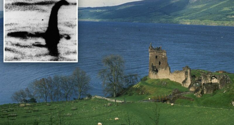 Loch Ness Monster hunters deploy underwater drone in annual hunt near hot spot of recent sightings