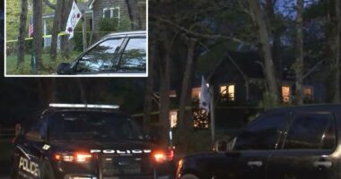 Long Island cops fatally shoot son accused of stabbing disabled mom on Mother's Day