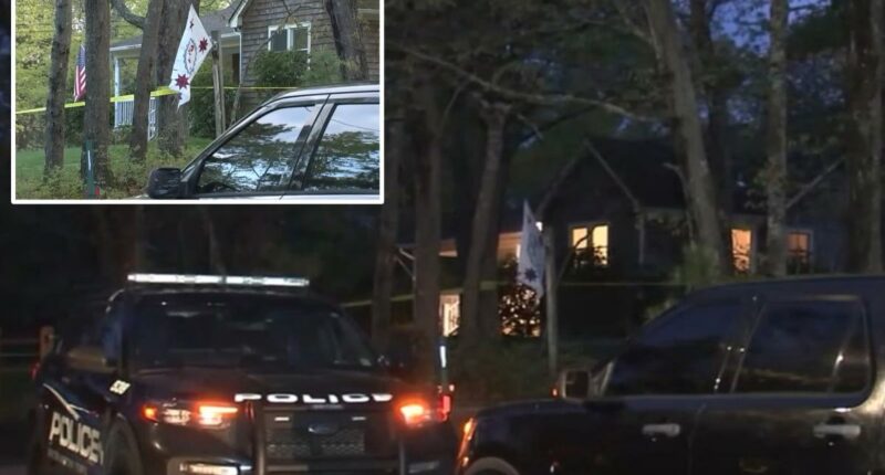 Long Island cops fatally shoot son accused of stabbing disabled mom on Mother's Day