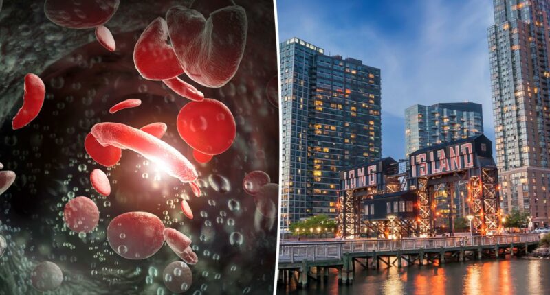 Long Island has 'high burden' for common blood disorder: study