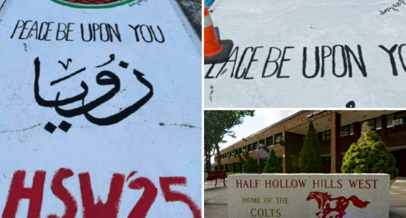 Long Island school pays student $125K after they removed Palestinian art from parking space