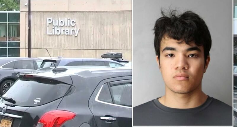 Long Island tutor Taylor Lindberg accused of sexually abusing girl, 7, at Port Washington Public Library