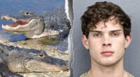 'Looksmaxxing' influencer Clavicular charged after allegedly shooting dead alligator on livestream