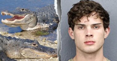 'Looksmaxxing' influencer Clavicular charged after allegedly shooting dead alligator on livestream
