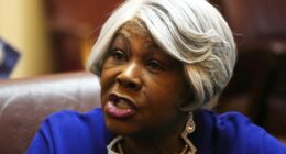 Louise Lucas Issues Statement After FBI Search, and What's Noteworthy Is What She Left Out