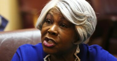 Louise Lucas Issues Statement After FBI Search, and What's Noteworthy Is What She Left Out