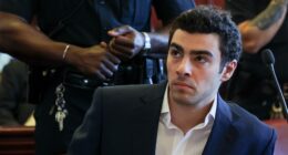 Luigi Mangione effect: String of suspects invoke alleged CEO assassin amid growing wave of violence