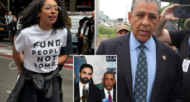 Mamdani backs DSA-endorsed congressional candidate Darializa Avila Chevalier over Adriano Espaillat