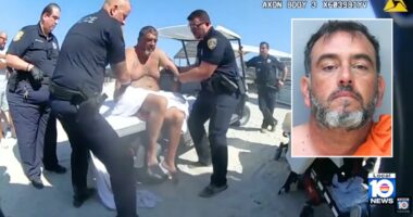 Man charges beachgoers with feet-long drill: Cops