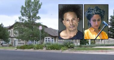 Man sneaked into professor's home, stabbed her to death
