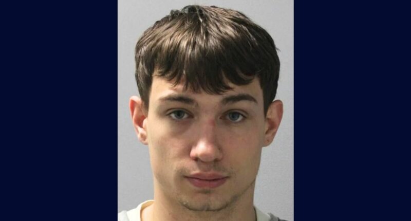 Man watching baby 'so he can get laid' killed him: DA