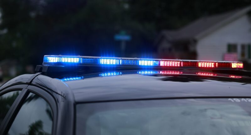 Manhunt underway for suspect in Virginia accused of killing sheriff's deputy