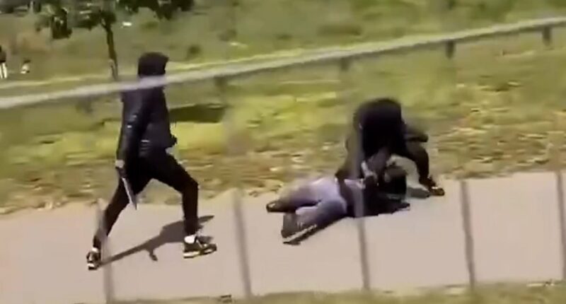 Masked teens attack each other with machetes in broad daylight in park