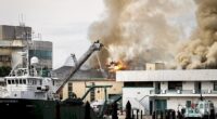 Massive fire destroys University of South Florida laboratory building: 'Total loss'