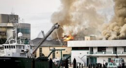 Massive fire destroys University of South Florida laboratory building: 'Total loss'