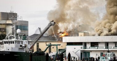 Massive fire destroys University of South Florida laboratory building: 'Total loss'