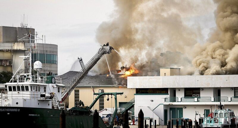 Massive fire destroys University of South Florida laboratory building: 'Total loss'