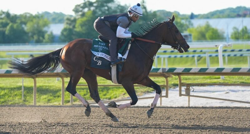 Meet the Preakness Stakes horses running in the 2026 race