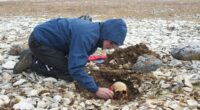 Meet the men who perished on the doomed 1845 Franklin Expedition: DNA samples confirm the identities of four members - including one found 80 miles away from his ship