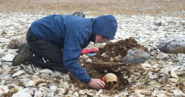 Meet the men who perished on the doomed 1845 Franklin Expedition: DNA samples confirm the identities of four members - including one found 80 miles away from his ship