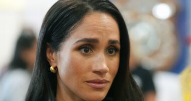 Meghan Markle jets to Chicago alone to support her godson