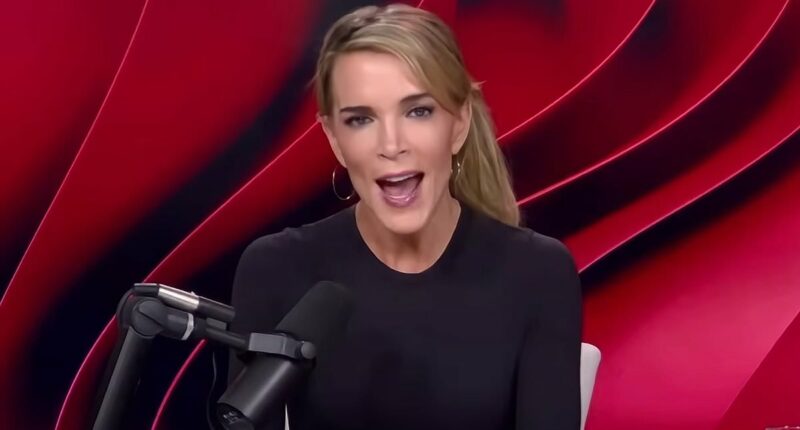 Megyn Kelly is torched by MAGA after she issued direct hit at Trump