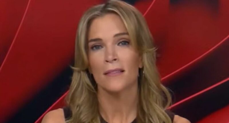 Megyn Kelly shares chilling theory about Jill Biden claims