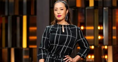 Melissa Leong's new food series, Taste of Art, has been dropped by SBS just days before it was scheduled to premiere