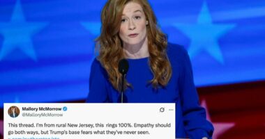 Michigan Dem Mallory McMorrow defends tweet trashing rural America, extolling coastal elites