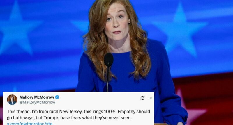 Michigan Dem Mallory McMorrow defends tweet trashing rural America, extolling coastal elites