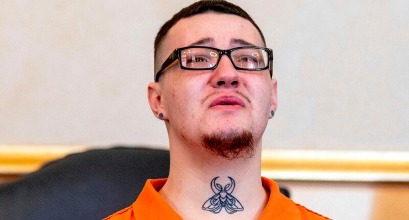 Michigan man gets at 30 years for killing groomsman on wedding night
