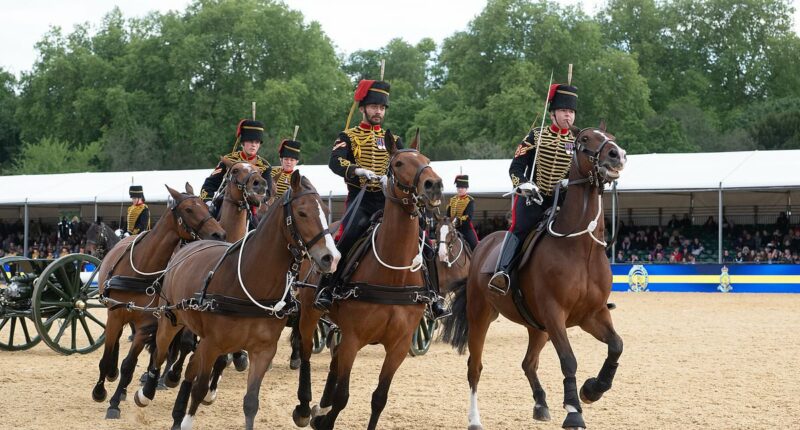 Military rider falls off horse and dies at Royal Windsor Horse Show