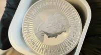 Millions in gold, silver and cash seized after alleged NDIS fraud