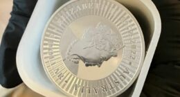 Millions in gold, silver and cash seized after alleged NDIS fraud