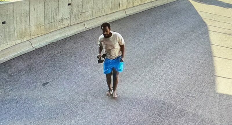 Minnesota fraud suspect who jumped from building is arrested, FBI says