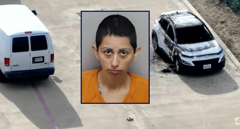 Mom arrested after children found dead in burning car: Cops