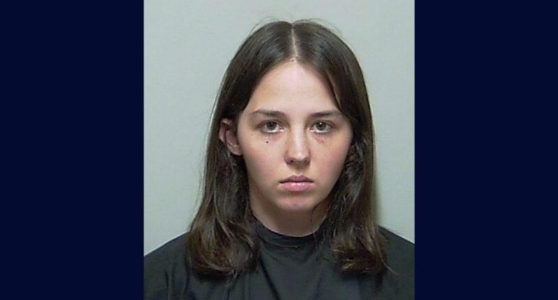 Mom broke 10 bones on her baby over first year of life: Cops