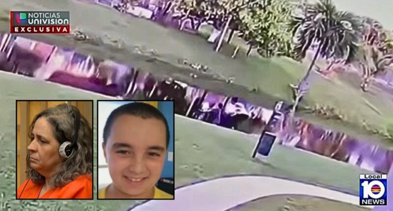 Mom drowned son in canal, lawyers want confession tossed: DA