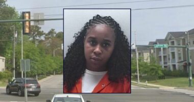 Mom drowned twin 17-month-old boys in bathtub: Cops