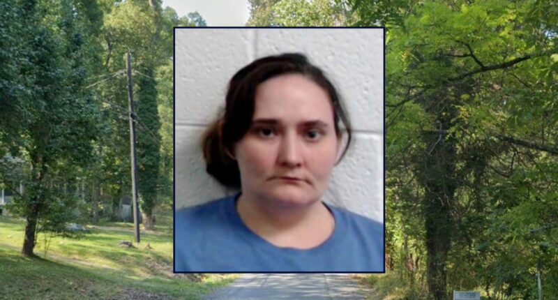 Mom killed 4-year-old because she was jealous