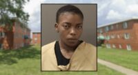 Mom told 4 kids she was 'going to kill them all': Police