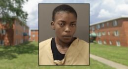 Mom told 4 kids she was 'going to kill them all': Police
