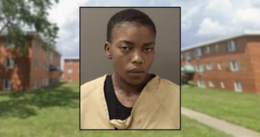 Mom told 4 kids she was 'going to kill them all': Police