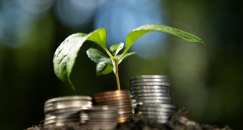 More people investing in shares could help Britain's productivity crisis, says RUTH SUNDERLAND